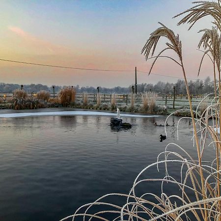 De Worfthoeve Bed & Breakfast Geel Dış mekan fotoğraf