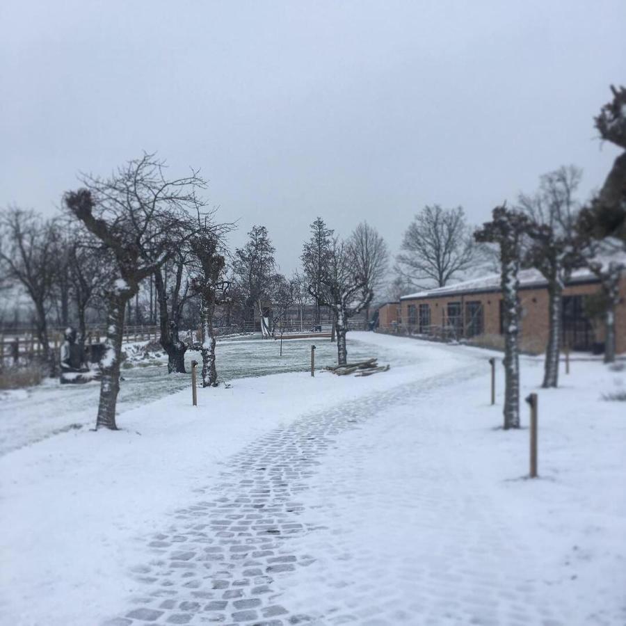 De Worfthoeve Bed & Breakfast Geel Dış mekan fotoğraf