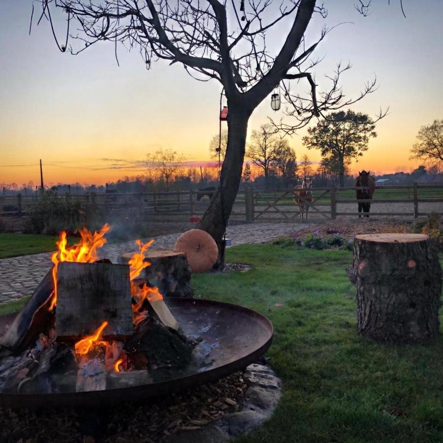 De Worfthoeve Bed & Breakfast Geel Dış mekan fotoğraf