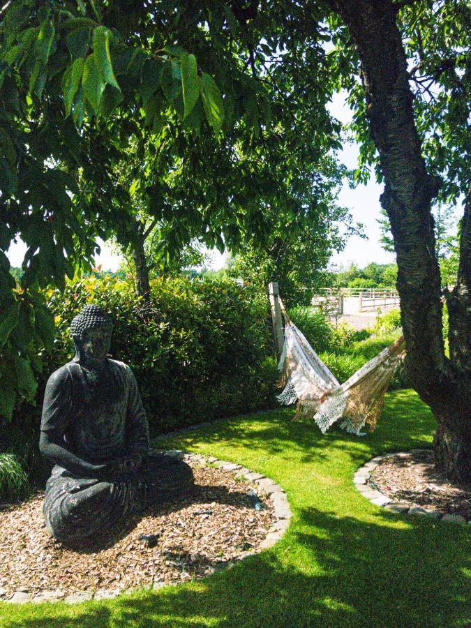 De Worfthoeve Bed & Breakfast Geel Dış mekan fotoğraf