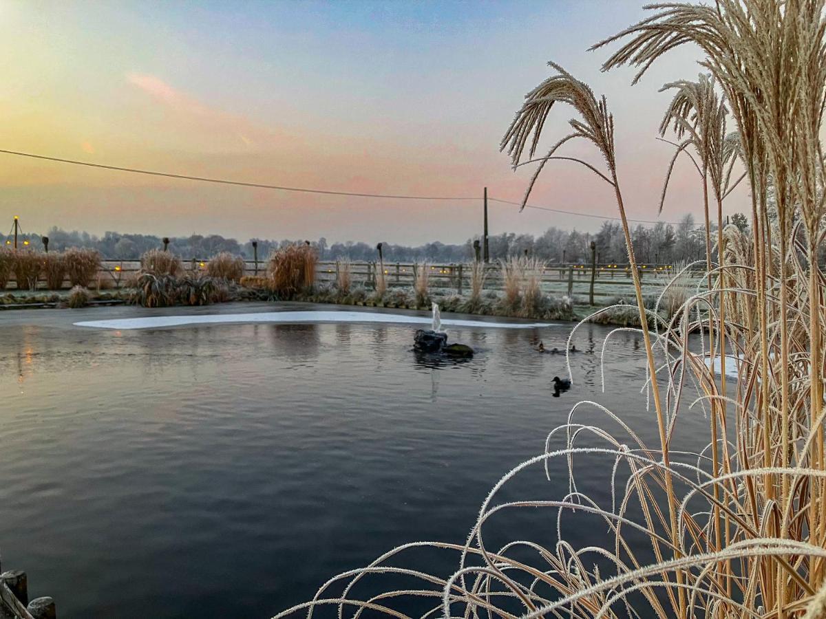 De Worfthoeve Bed & Breakfast Geel Dış mekan fotoğraf